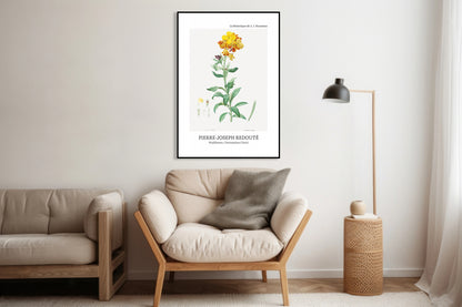 Plakat  Design Chearinthus Cheiri, Redoute Vintage do Salonu