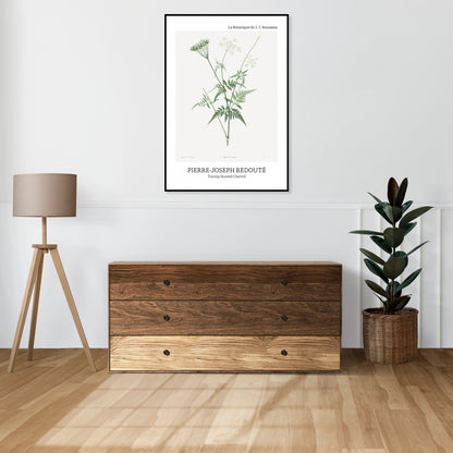 Obraz  Design Rotted Chervil, Redoute Vintage do Salonu