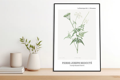 Obraz  Design Rotted Chervil, Redoute Vintage do Salonu