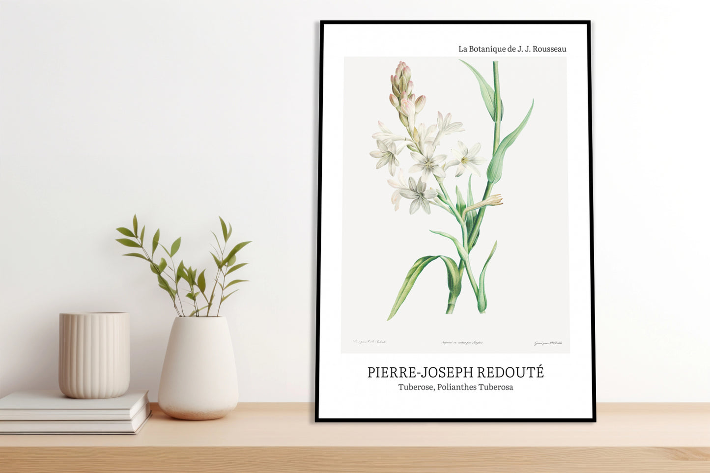 Obraz  Design Polianthes Tuberosa, Redoute Vintage do Salonu