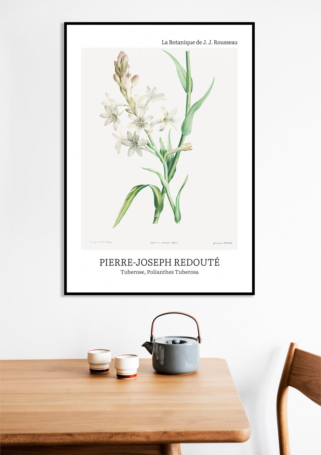 Obraz  Design Polianthes Tuberosa, Redoute Vintage do Salonu