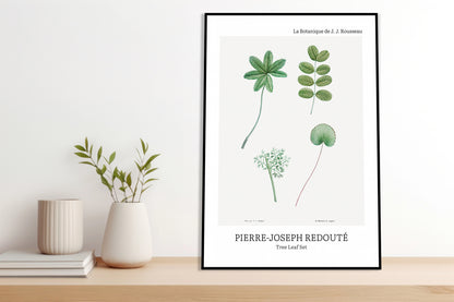 Obraz  Design Tree Leaf Set, Redoute Vintage do Salonu