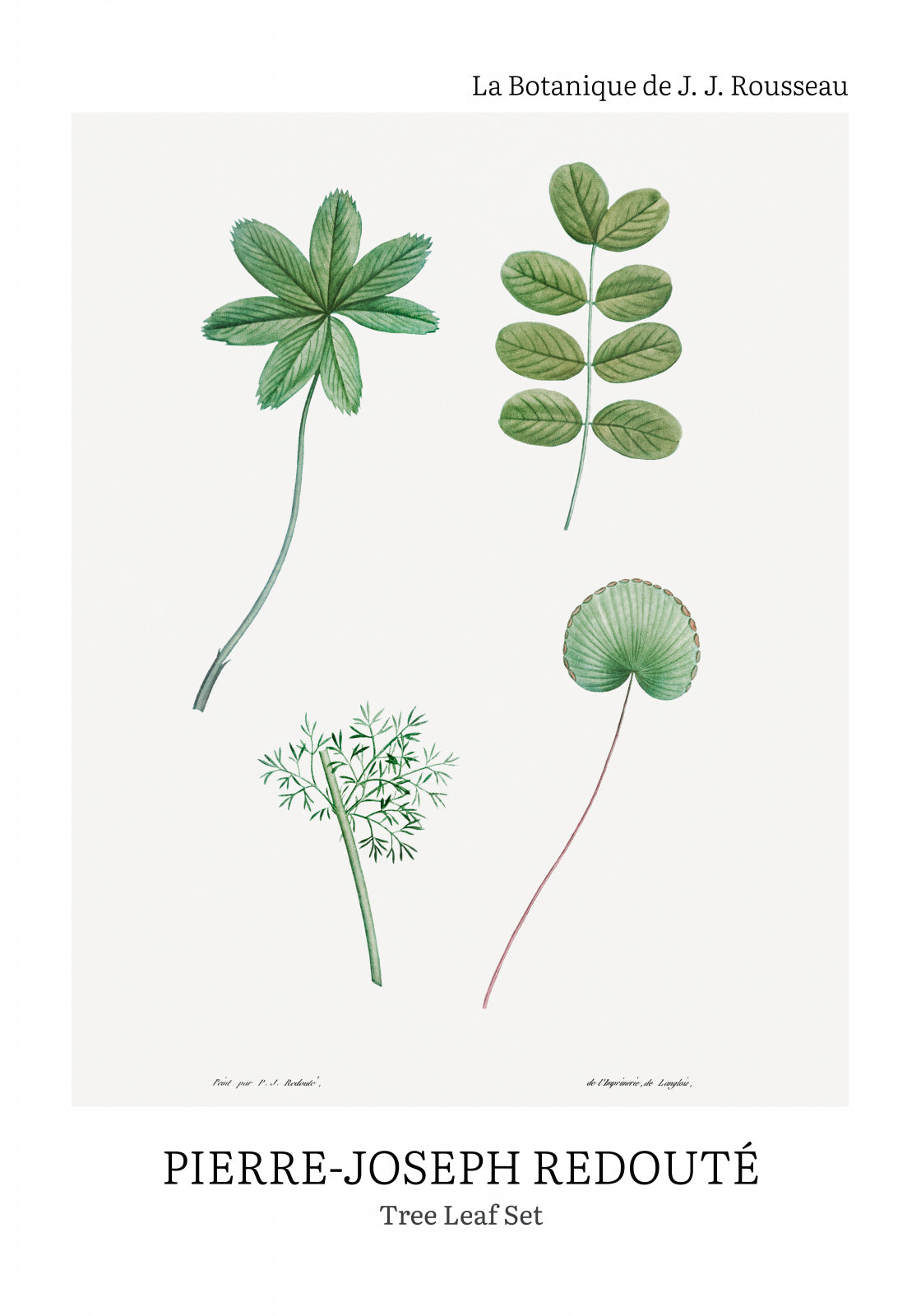 Plakat  Design Tree Leaf Set, Redoute Vintage do Salonu