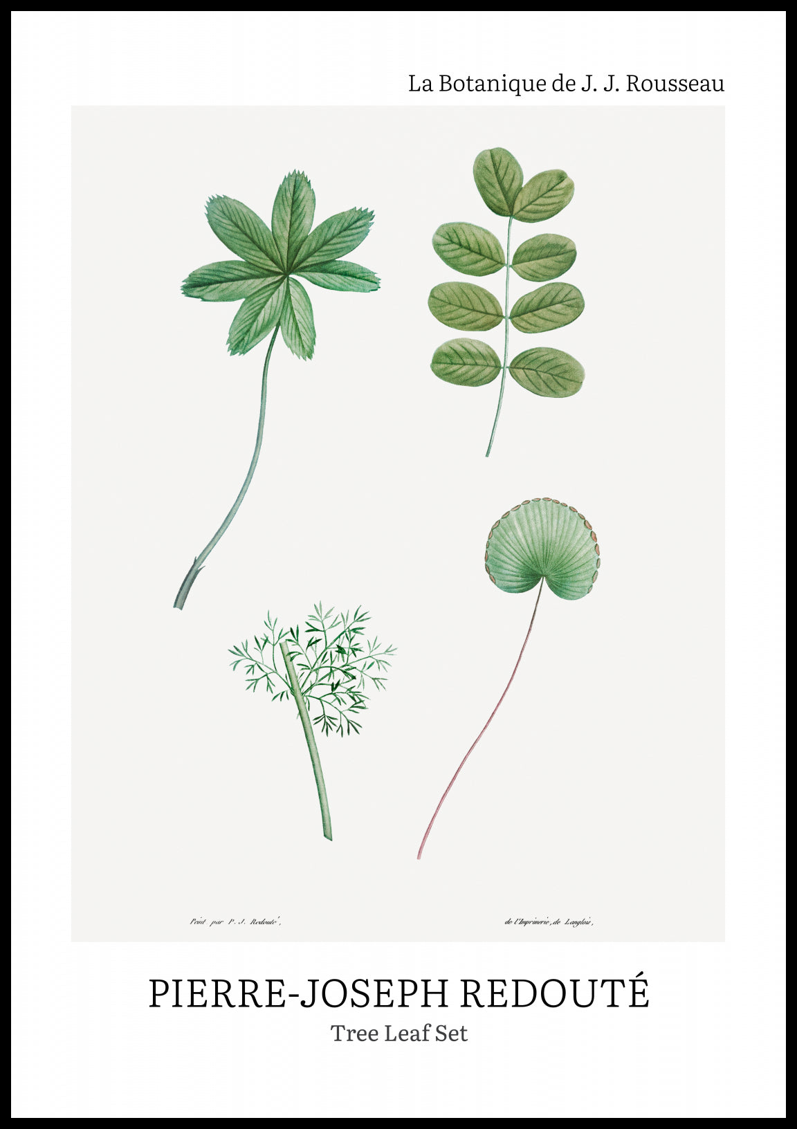 Plakat  Design Tree Leaf Set, Redoute Vintage do Salonu