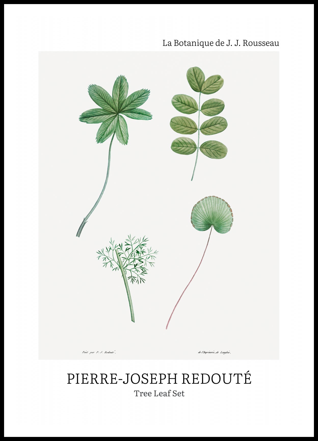 Plakat  Design Tree Leaf Set, Redoute Vintage do Salonu