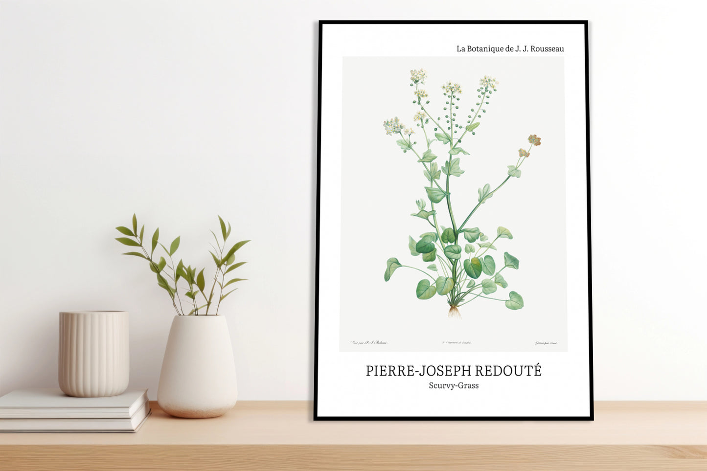 Obraz  Design Scurvy-Grass, Redoute Vintage do Salonu