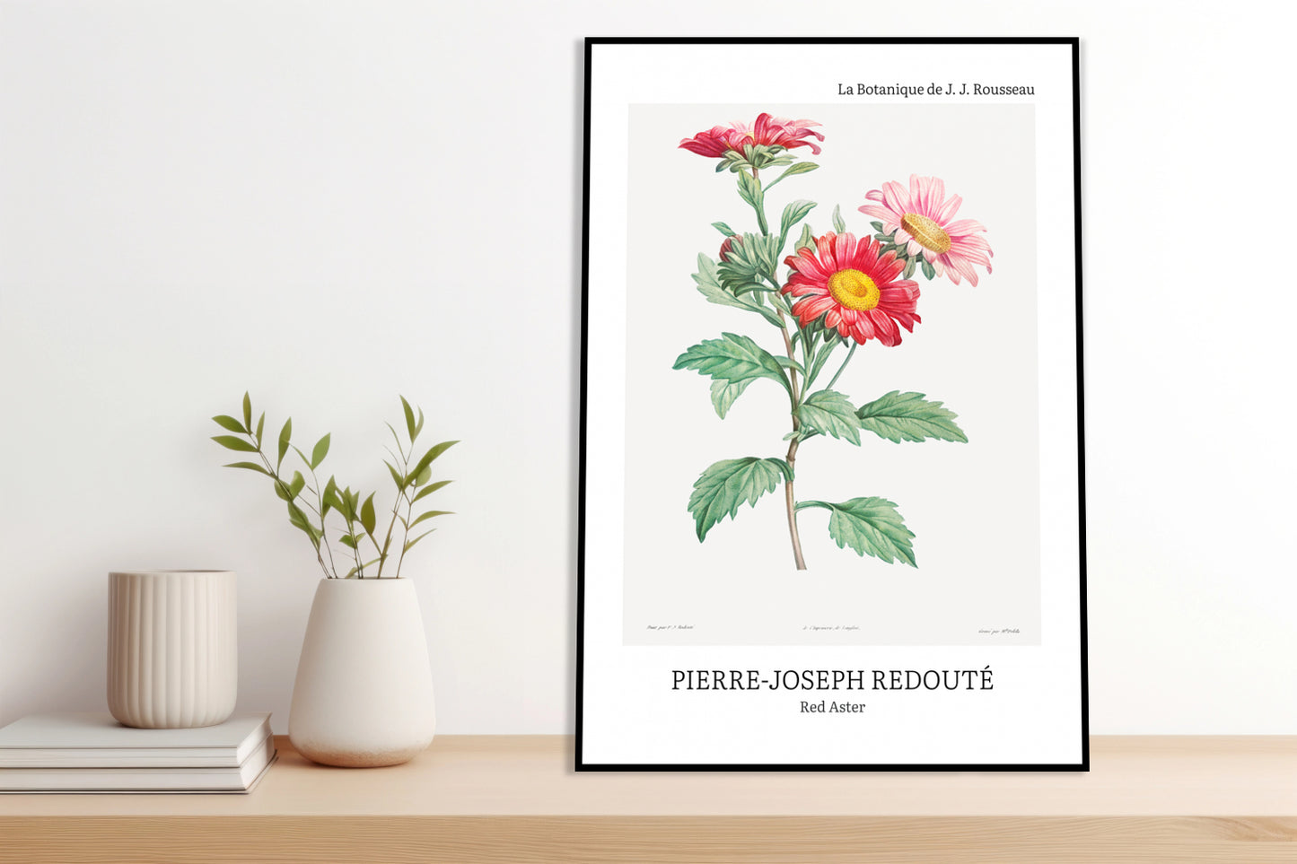 Obraz  Design Red Aster, Redoute Vintage do Salonu