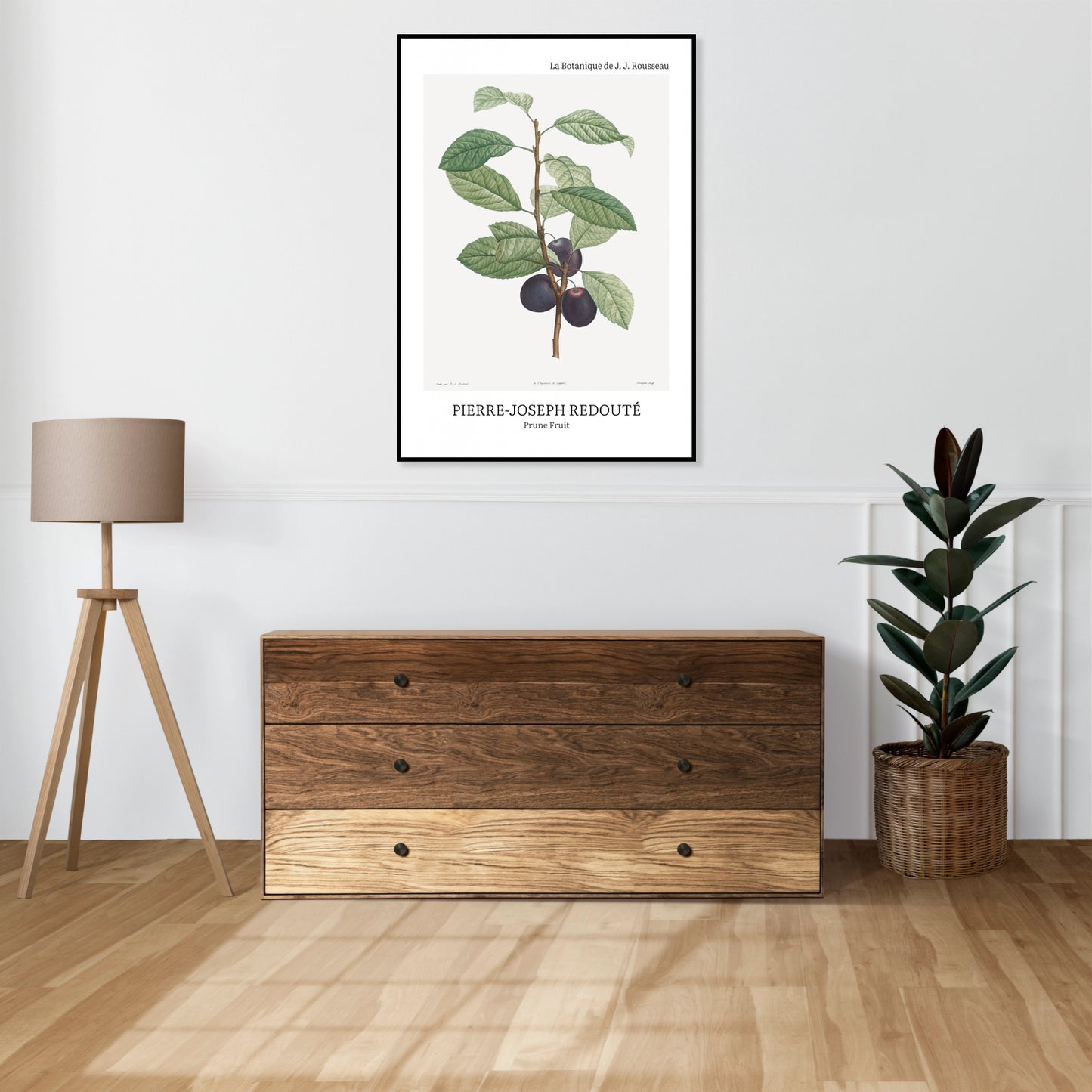 Obraz  Design Prune Fruit, Redoute Vintage do Salonu