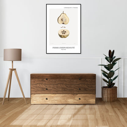 Obraz  Design Pear Fruit, Redoute Vintage do Salonu