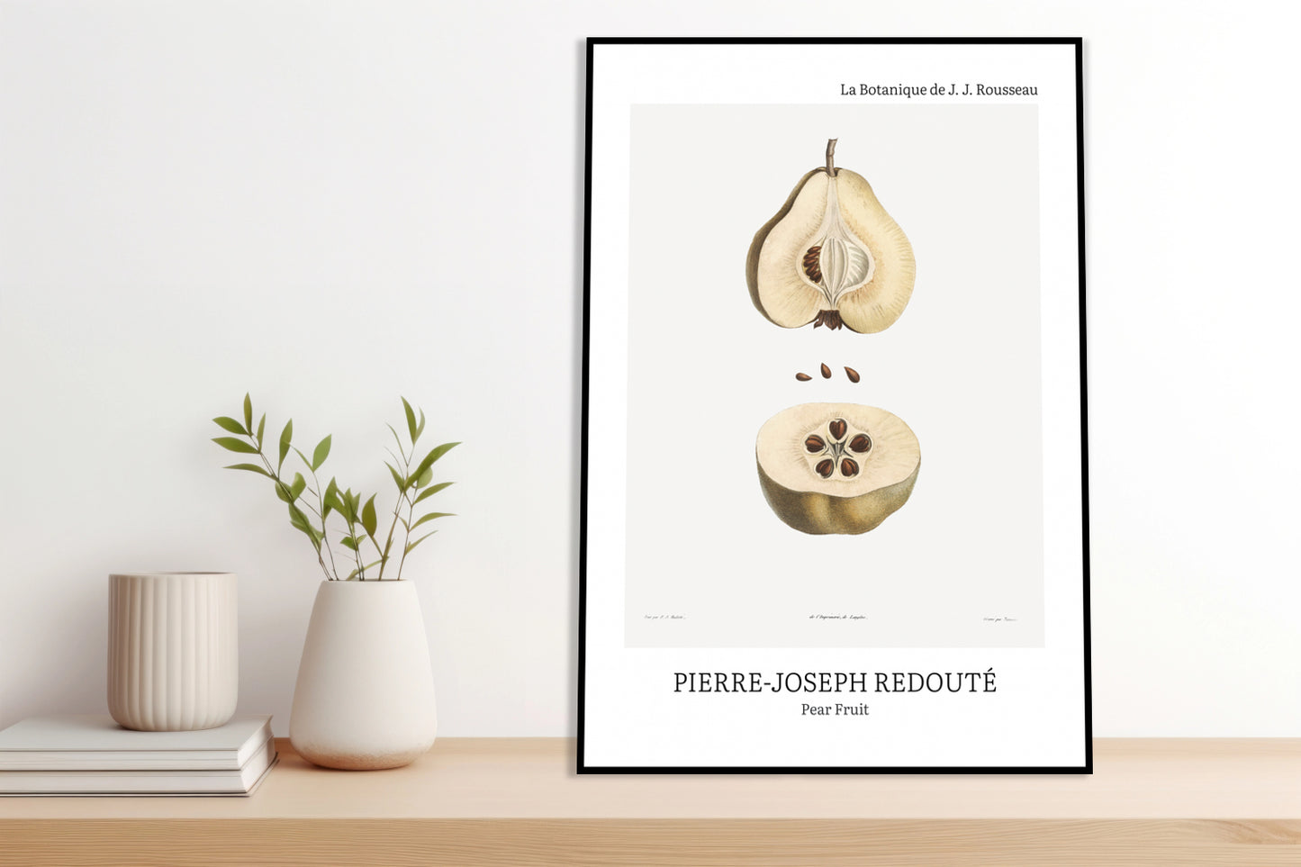 Obraz  Design Pear Fruit, Redoute Vintage do Salonu
