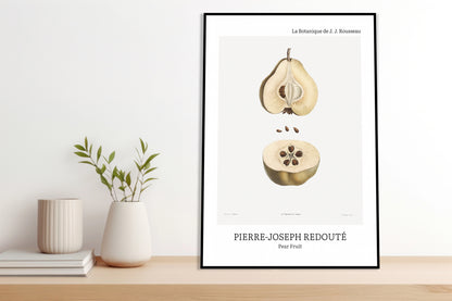 Obraz  Design Pear Fruit, Redoute Vintage do Salonu