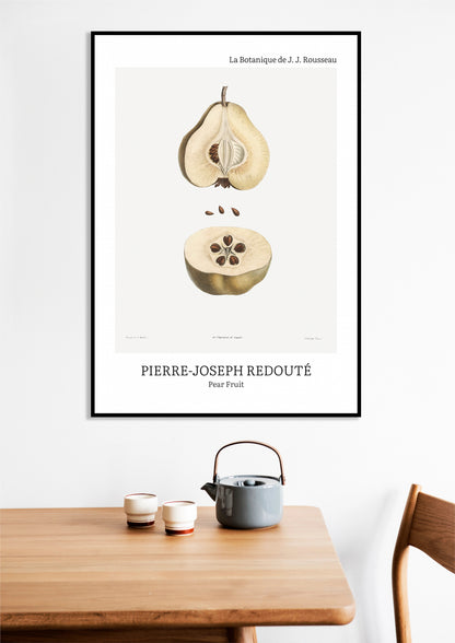 Obraz  Design Pear Fruit, Redoute Vintage do Salonu