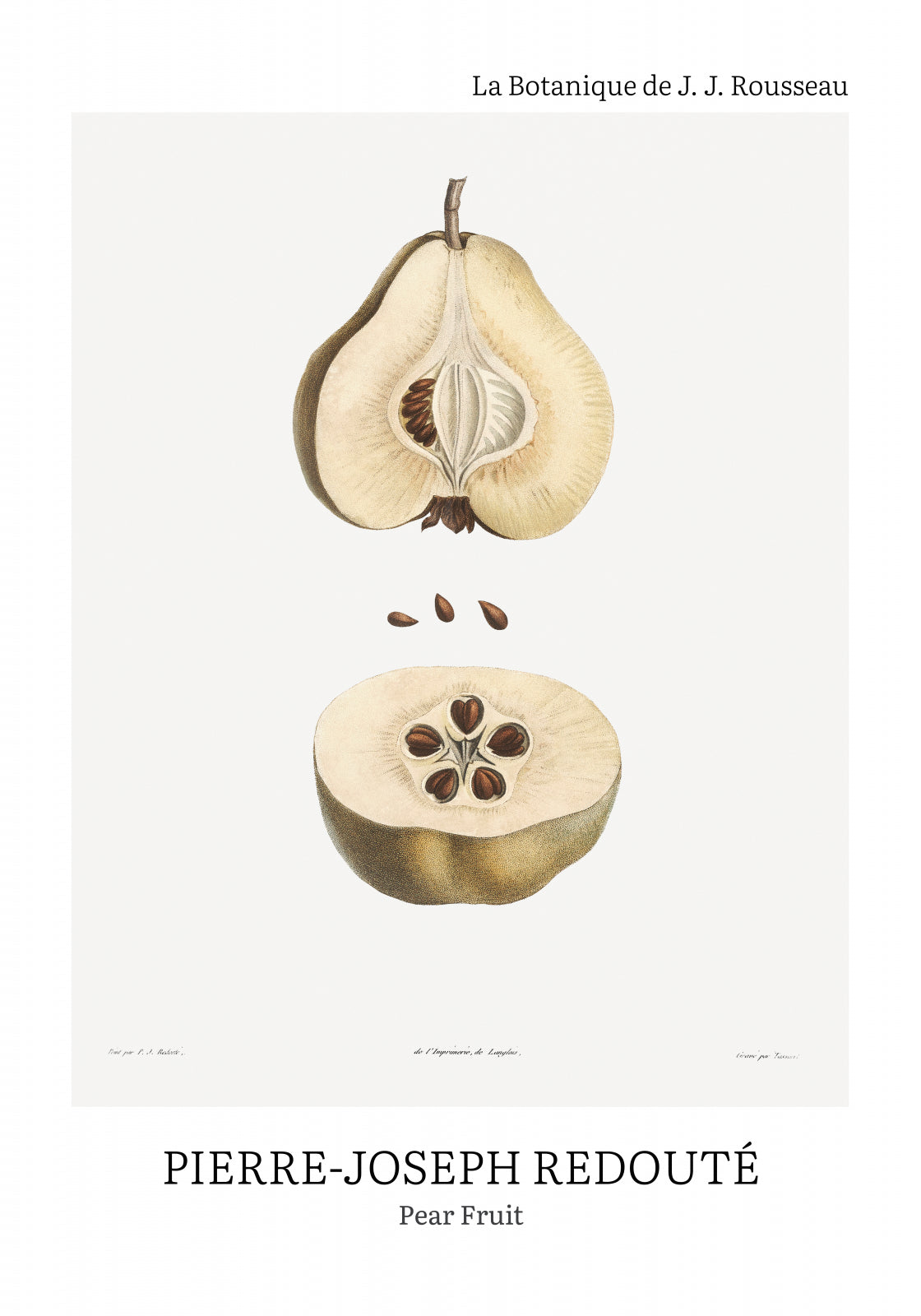Plakat  Design Pear Fruit, Redoute Vintage do Salonu