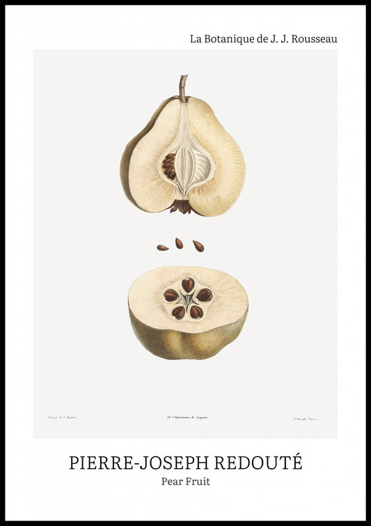 Plakat  Design Pear Fruit, Redoute Vintage do Salonu