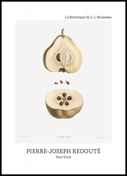 Plakat  Design Pear Fruit, Redoute Vintage do Salonu