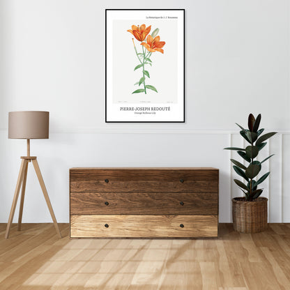Obraz  Design Bulbous Lily, Redoute Vintage do Salonu