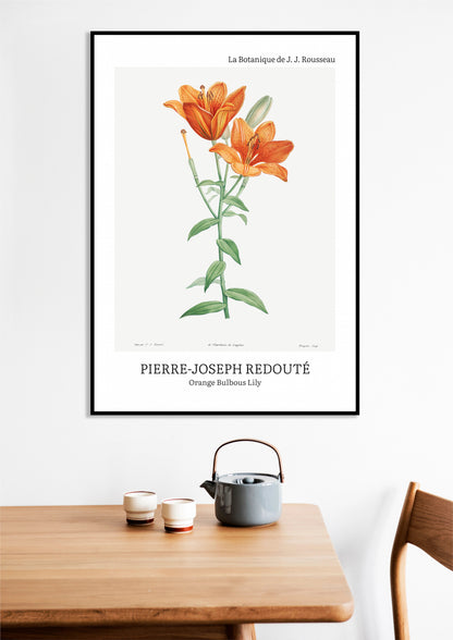 Obraz  Design Bulbous Lily, Redoute Vintage do Salonu