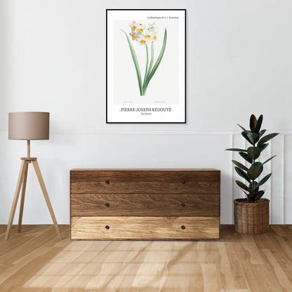 Obraz  Design Narcissus, Redoute Vintage do Salonu