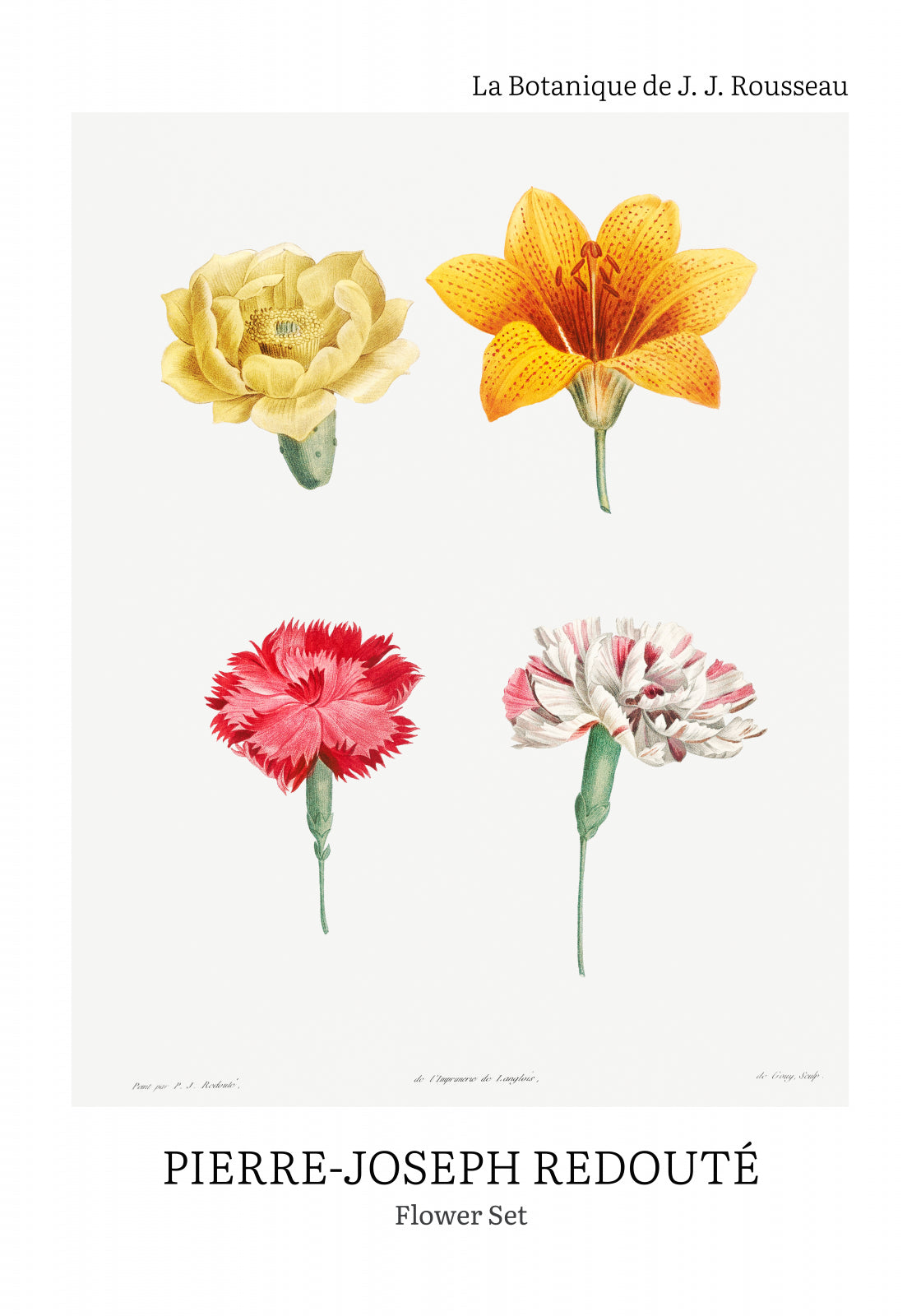 Plakat  Design Flower Set, Redoute Vintage do Salonu