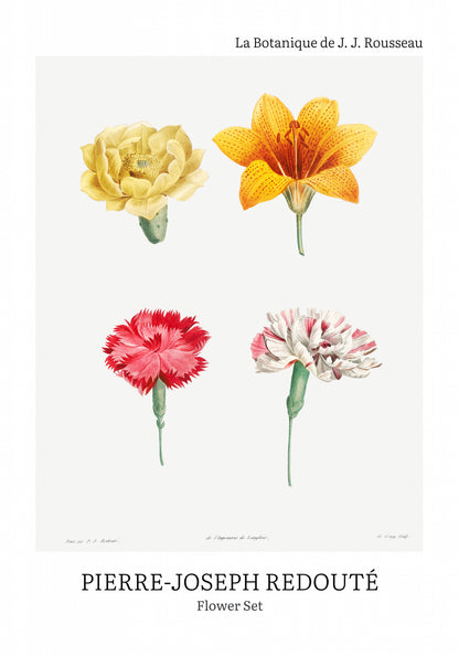 Plakat  Design Flower Set, Redoute Vintage do Salonu