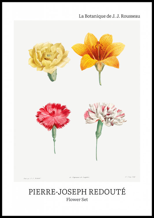 Plakat  Design Flower Set, Redoute Vintage do Salonu