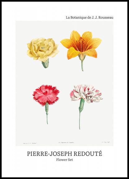 Plakat  Design Flower Set, Redoute Vintage do Salonu