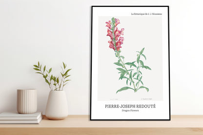 Obraz  Design Dragon Flowers, Redoute Vintage do Salonu