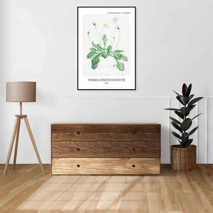 Obraz  Design Daisy, Redoute Vintage do Salonu