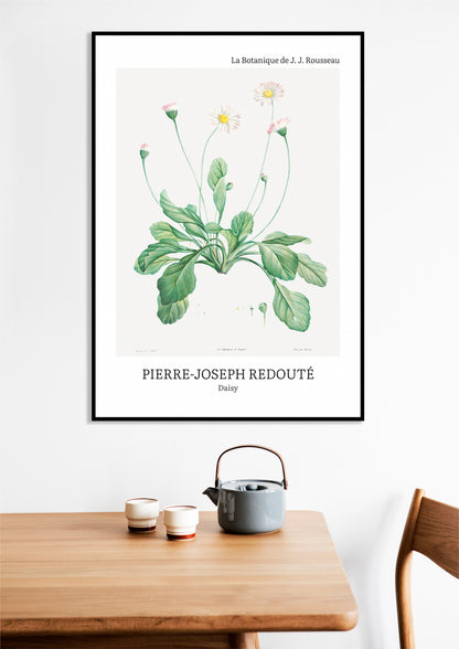 Obraz  Design Daisy, Redoute Vintage do Salonu