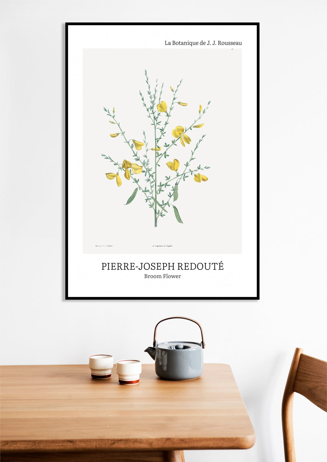 Obraz  Design Broom Flower, Redoute Vintage do Salonu