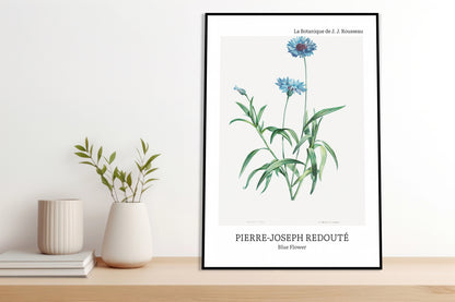 Obraz  Design Blue Flower, Redoute Vintage do Salonu