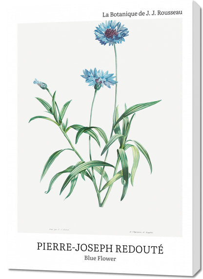Obraz  Design Blue Flower, Redoute Vintage do Salonu