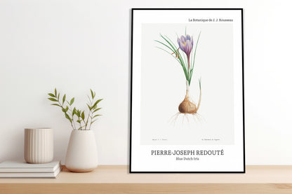 Obraz  Design Blue Dutch Iris, Redoute Vintage do Salonu