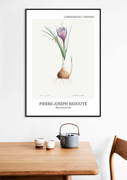 Obraz  Design Blue Dutch Iris, Redoute Vintage do Salonu