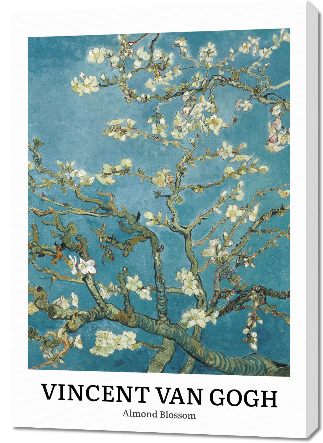 Obraz  Design Almond Blossom, Van Gogh Vintage do Salonu