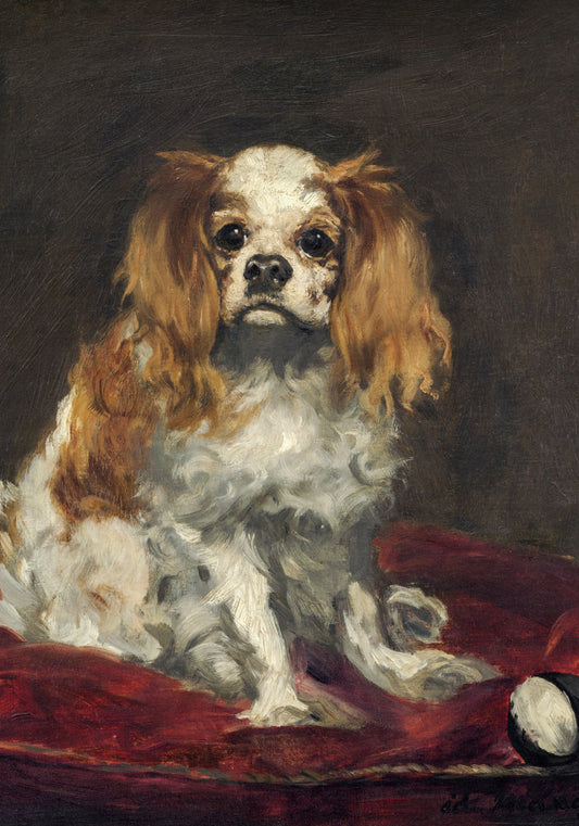 Plakat  A King Charles Spaniel,  Edouard Manet do Salonu