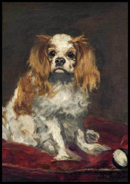 Plakat  A King Charles Spaniel,  Edouard Manet do Salonu