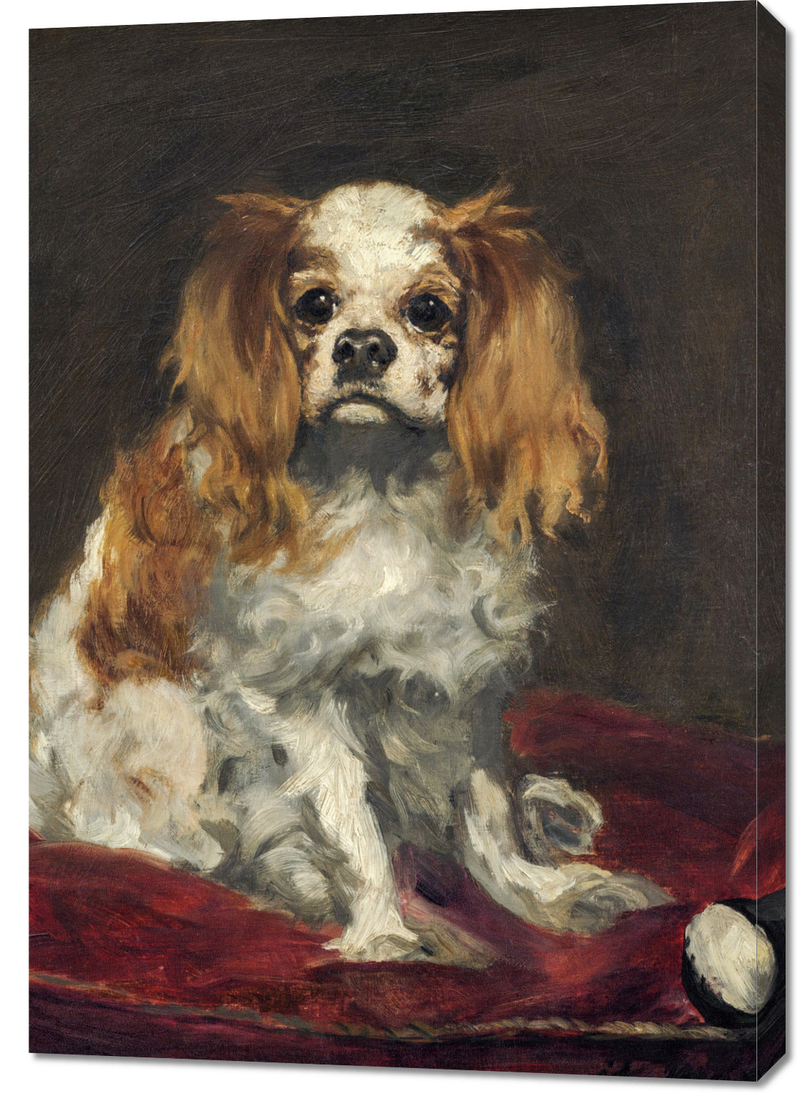 Obraz  A King Charles Spaniel,  Edouard Manet do Salonu