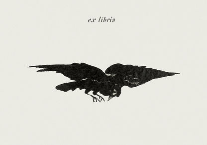 Plakat  Flying Raven, Édouard Manet Vintage do Salonu
