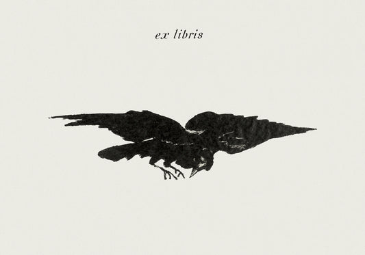 Plakat  Flying Raven, Édouard Manet Vintage do Salonu
