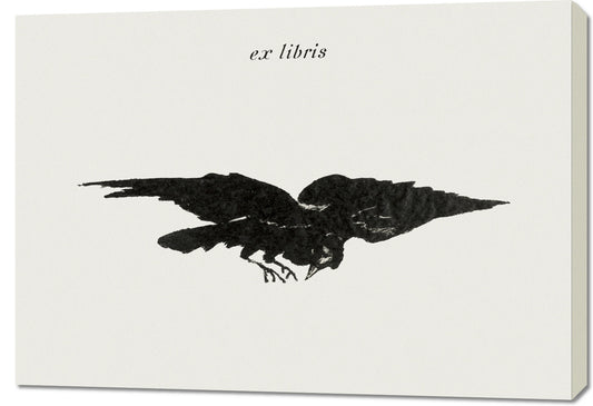 Obraz  Flying Raven, Édouard Manet Vintage do Salonu