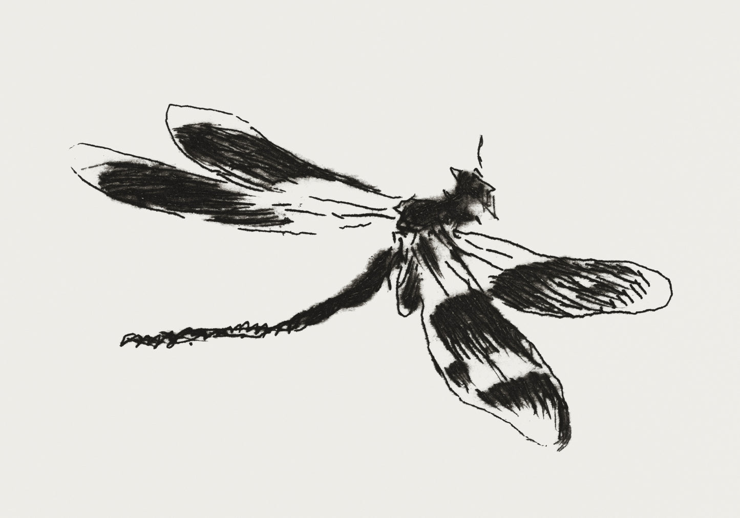 Plakat  Dragonfly, Édouard Manet Vintage do Salonu