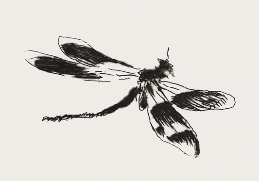 Plakat  Dragonfly, Édouard Manet Vintage do Salonu