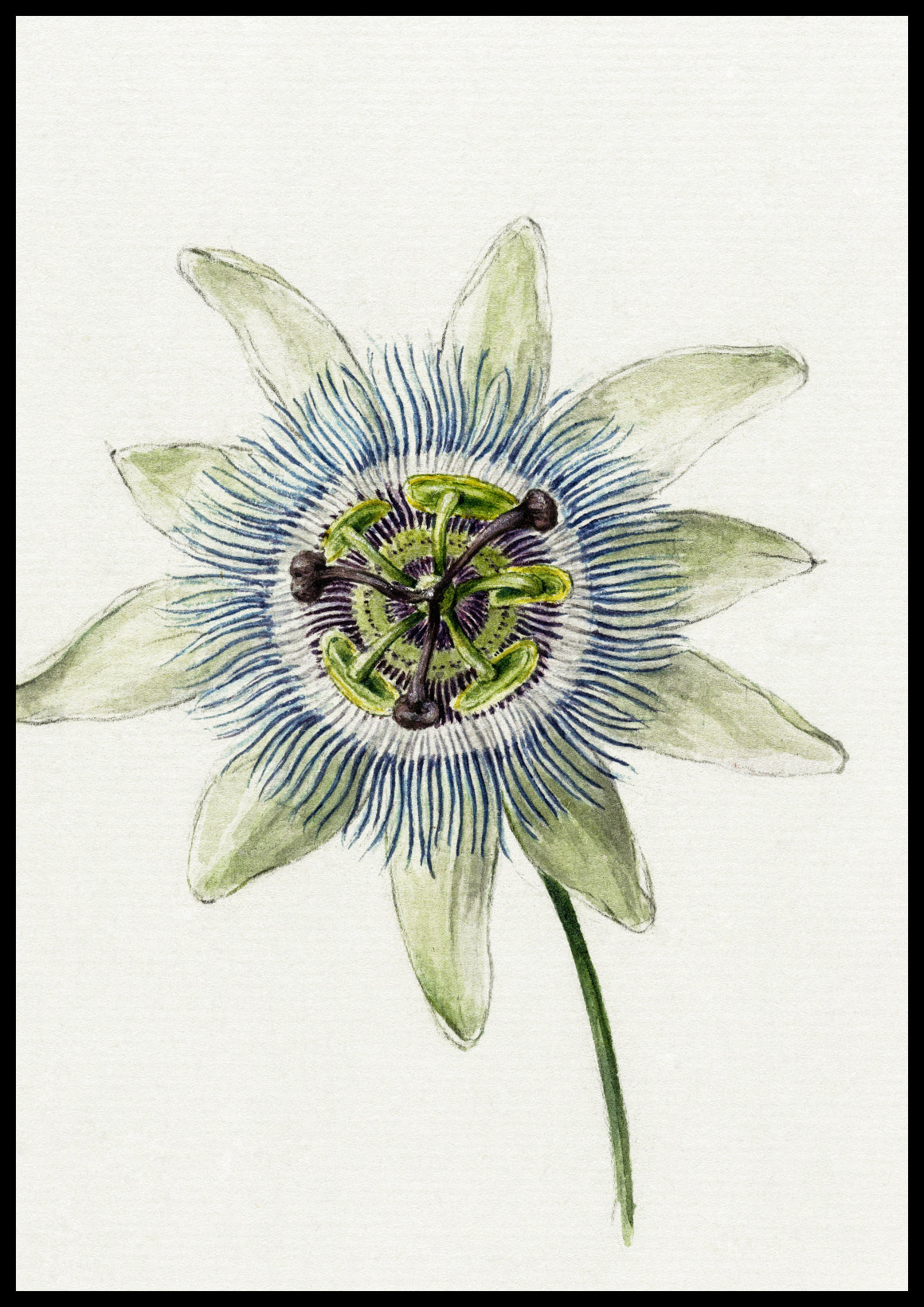 Plakat  Passion Flower, Jean Bernard Vintage do Salonu