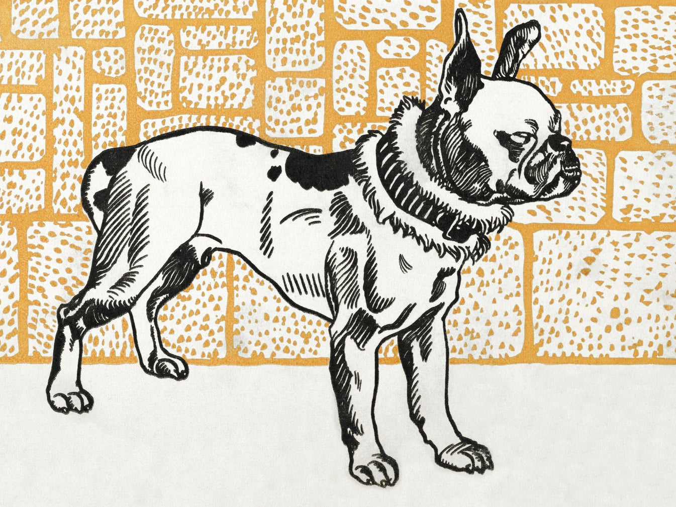 Plakat  Pitbull Terier, Moriz Junga Vintage do Salonu