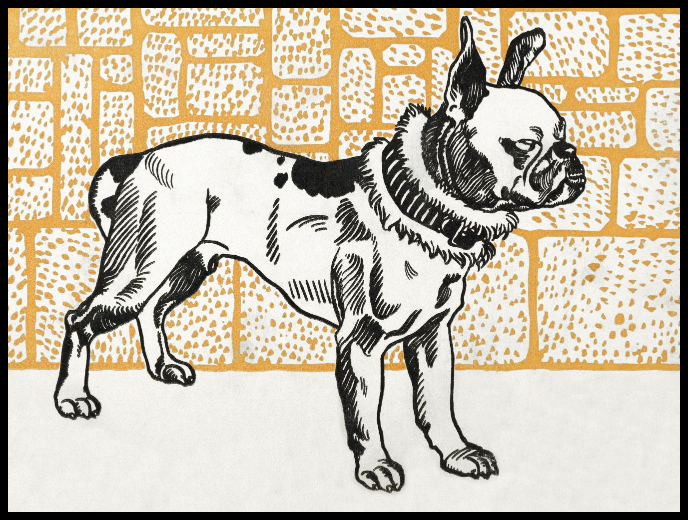 Plakat  Pitbull Terier, Moriz Junga Vintage do Salonu