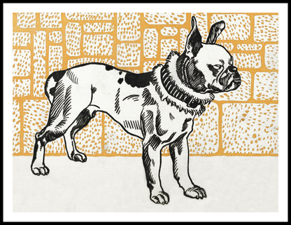 Plakat  Pitbull Terier, Moriz Junga Vintage do Salonu