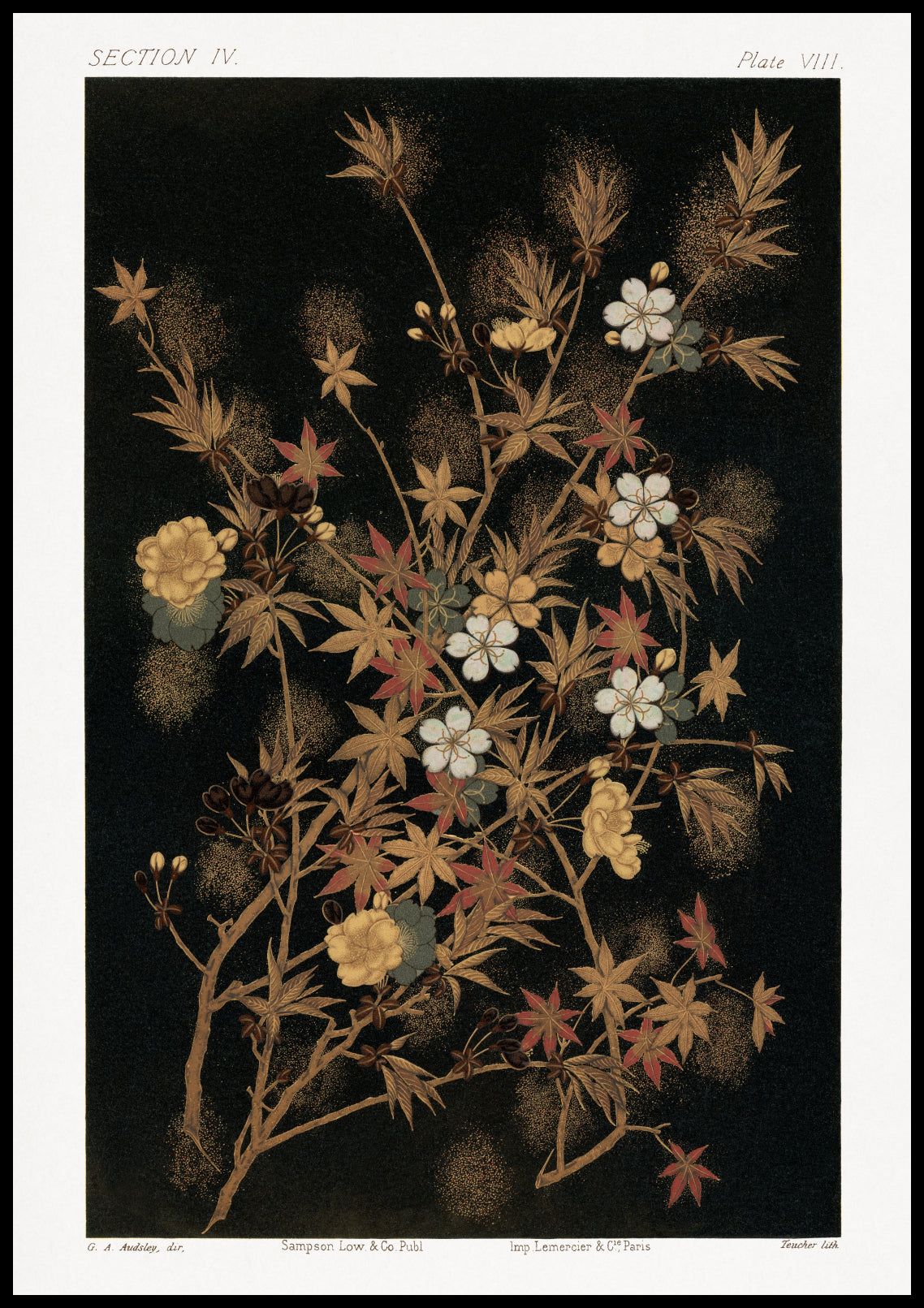 Plakat  Japońskie Jesienne Kwiaty, G.A. Audsley do Salonu