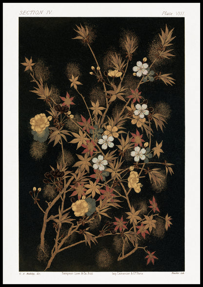 Plakat  Japońskie Jesienne Kwiaty, G.A. Audsley do Salonu