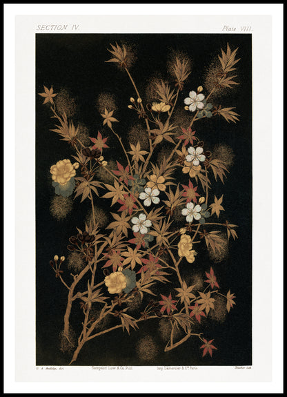 Plakat  Japońskie Jesienne Kwiaty, G.A. Audsley do Salonu